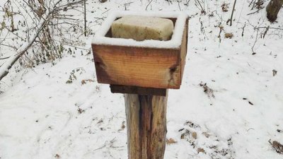 Сіно, гіллячкові віники, солонці з кухонної солі: у лісах Черкащини підгодовують диких тварин Сіно, гіллячкові віники, солонці з кухонної солі: у лісах Черкащини підгодовують диких тварин