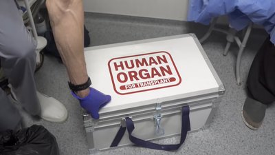 Прикарпатка стала посмертним донором для чотирьох людей зі Львівщини, Прикарпаття й Хмельницького Прикарпатка стала посмертним донором для чотирьох людей зі Львівщини, Прикарпаття й Хмельницького