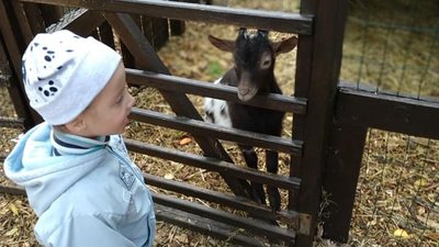 "Локдаун – це їхнє життя в мінітаюрі", - очільниця ГО "Сонячні діти Черкащини" "Локдаун – це їхнє життя в мінітаюрі", - очільниця ГО "Сонячні діти Черкащини"