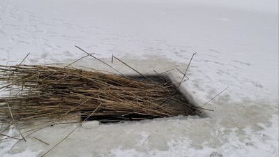 Щоб під кригою не задихнулась риба у Центральному парку Луцька прорубали 50 ополонок Щоб під кригою не задихнулась риба у Центральному парку Луцька прорубали 50 ополонок