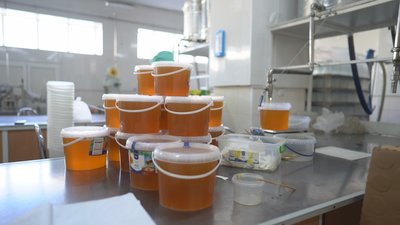 "Бджоли працюють і ми маємо". Бджоляр із Сєвєродонецька евакуював близько сотні людей із зони бойових дій "Бджоли працюють і ми маємо". Бджоляр із Сєвєродонецька евакуював близько сотні людей із зони бойових дій