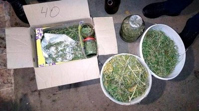 Житель Херсонщини зберігав удома три кілограми канабісу — поліція