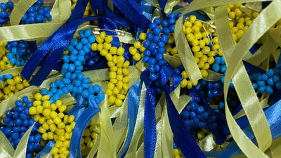 Діти у Луцьку віддали свої заощадження волонтерам на потреби Збройних сил України Діти у Луцьку віддали свої заощадження волонтерам на потреби Збройних сил України