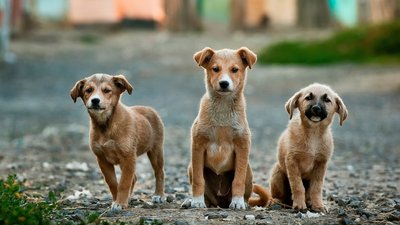 Як стати кращим другом і людиною: 7 порад для саморозвитку Як стати кращим другом і людиною: 7 порад для саморозвитку