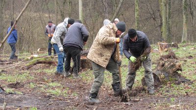 На Тернопільщині впорядкували територію НПП "Дністровський каньйон", висадили дерева