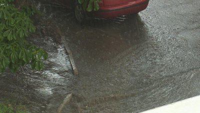 Гроза в Дніпрі: за 15 хвилин випала півторамісячна норма опадів. Повалені дерева, лікарні без струму