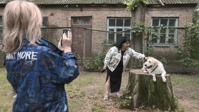 Хвостата терапія: у Черкасах для дітей організували показові виступи собак Хвостата терапія: у Черкасах для дітей організували показові виступи собак