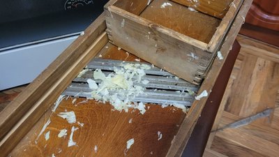 29 років квасять капусту: рецепт від мами та доньки з Волині 29 років квасять капусту: рецепт від мами та доньки з Волині