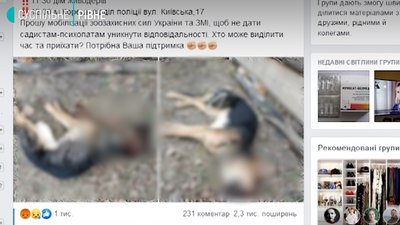 Зоозахисники приїхали у село на Рівненщині, де чоловік убив собаку Зоозахисники приїхали у село на Рівненщині, де чоловік убив собаку