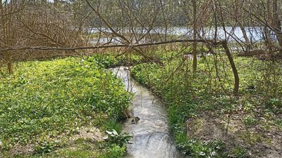 У Житомирі в річку потрапили нечистоти — комунальники пояснили причини У Житомирі в річку потрапили нечистоти — комунальники пояснили причини