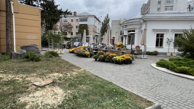 Падіння аварійних дерев у Полтаві: яку компенсацію спрямували потерпілим і в якому вони стані Падіння аварійних дерев у Полтаві: яку компенсацію спрямували потерпілим і в якому вони стані