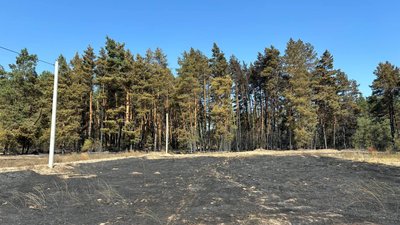 "Воду лили, а воно горить": як гасили лісову пожежу у Вергунах на Черкащині "Воду лили, а воно горить": як гасили лісову пожежу у Вергунах на Черкащині