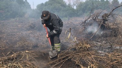 На Полтавщині рятувальники третю добу гасять пожежу торфовища На Полтавщині рятувальники третю добу гасять пожежу торфовища