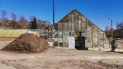 Вирощувати почали восени: близько 180 тисяч рослин для клумб готують комунальники у Полтаві Вирощувати почали восени: близько 180 тисяч рослин для клумб готують комунальники у Полтаві