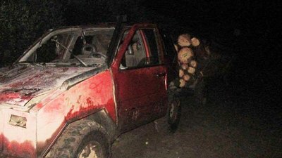 На Рівненщині побили лісівника, який хотів завадити незаконній порубці На Рівненщині побили лісівника, який хотів завадити незаконній порубці