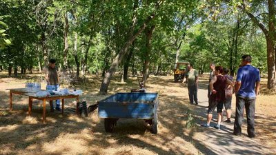 Підприємство, яке має прибирати частину Дендропарку у Кропивницькому, існує "на папері" Підприємство, яке має прибирати частину Дендропарку у Кропивницькому, існує "на папері"