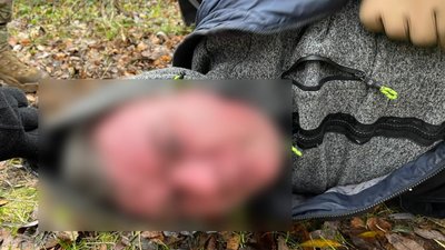 На Сумщині затримали двох чоловіків, яких підозрюють у збиранні даних про ЗСУ для російських спецслужб На Сумщині затримали двох чоловіків, яких підозрюють у збиранні даних про ЗСУ для російських спецслужб