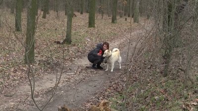 Історія "мар'янівського Хатіко" з Вінниччини, якого покинули господарі Історія "мар'янівського Хатіко" з Вінниччини, якого покинули господарі