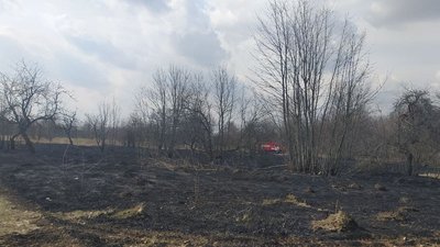 На Сумщині за тиждень гасили три масштабні пожежі в екосистемах – ДСНС