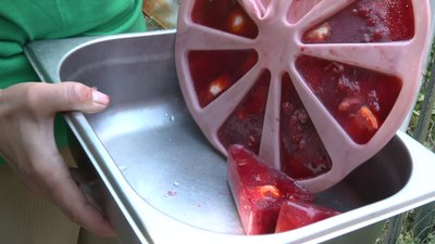 Фруктове чи м'ясне морозиво, затінок та доступ до води: як тварини Черкаського зоопарку рятуються від спеки Фруктове чи м'ясне морозиво, затінок та доступ до води: як тварини Черкаського зоопарку рятуються від спеки