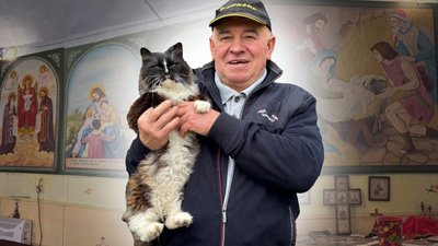 Михайло Довбищук, художник