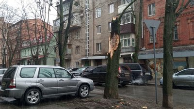 У Харкові від вітру впало сім дерев: одне пошкодило машину в центрі міста У Харкові від вітру впало сім дерев: одне пошкодило машину в центрі міста