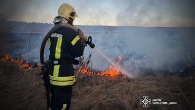 Пожежі сухої трави на Чернігівщині: з початку року вигоріли 300 га землі