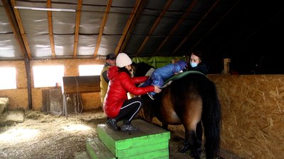 У Житомирі 178 дітей з інвалідністю отримають адресну допомогу на реабілітацію методом іпотерапії У Житомирі 178 дітей з інвалідністю отримають адресну допомогу на реабілітацію методом іпотерапії