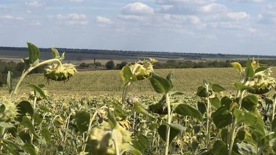 Пам'ять героям: на Миколаївщині встановлять пам'ятник загиблим пілотам в полі Пам'ять героям: на Миколаївщині встановлять пам'ятник загиблим пілотам в полі
