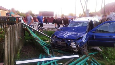 На Рівненщині авто в'їхало у череду корів. Дві тварини загинули, водій був п'яний – поліція