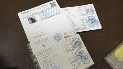 У Полтаві за тиждень зареєстрували 60 безпритульних собак: навіщо це роблять У Полтаві за тиждень зареєстрували 60 безпритульних собак: навіщо це роблять