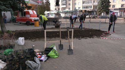 Волонтери висаджують дерева на вулиці Київській