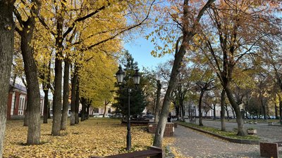 Погода у Кіровоградській області 1 та 2 листопада 