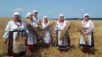 За давніми традиціями: у селі на Черкащині відзначили зажинки За давніми традиціями: у селі на Черкащині відзначили зажинки