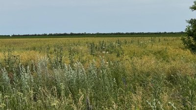 Літієве родовище, ділянка Добра