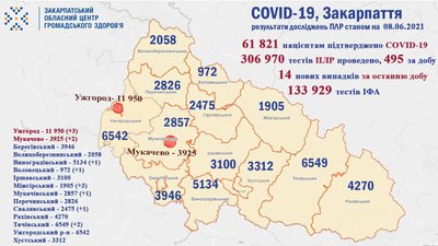 На Закарпатті виявили 14 випадків COVID-19 за добу На Закарпатті виявили 14 випадків COVID-19 за добу