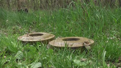 На півночі Житомирщини сапери територіальної оборони проводять роботи з розмінування На півночі Житомирщини сапери територіальної оборони проводять роботи з розмінування