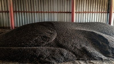 На Кіровоградщині судитимуть директорку Піщанобрідського аграрного ліцею – що відомо
