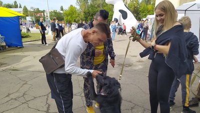 Миколаївські безпритульні собаки знайшли господарів на виставці "Щастя не має породи" Миколаївські безпритульні собаки знайшли господарів на виставці "Щастя не має породи"