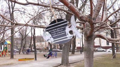 Різнокольорові рибки прикрасили дерева в Миколаєві Різнокольорові рибки прикрасили дерева в Миколаєві