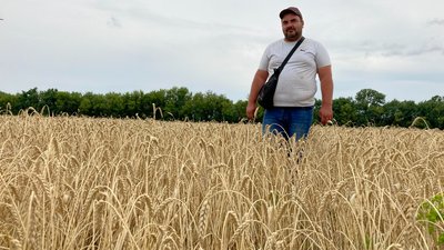 Жнива на Харківщині. Аграрії зібрали 37 тисяч тонн зерна за 10 днів Жнива на Харківщині. Аграрії зібрали 37 тисяч тонн зерна за 10 днів
