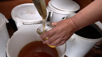 Мед з пасіки Мед з пасіки