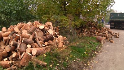На Житомирщині в рамках благодійного проєкту п'ять сімей з дітьми з інвалідністю забезпечили дровами На Житомирщині в рамках благодійного проєкту п'ять сімей з дітьми з інвалідністю забезпечили дровами