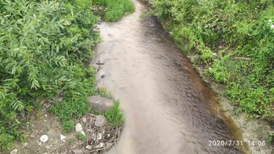 У Тлумачі у річці виявили кров У Тлумачі у річці виявили кров