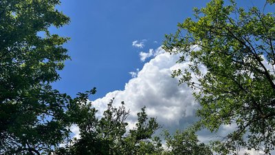 Яку погоду прогнозують на Закарпатті 18 травня