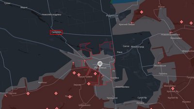 Гришине Покровськ Донецька область