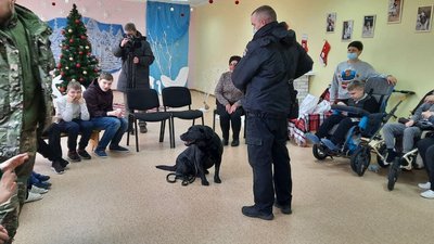 Не тільки шукають наркотики. У Кропивницькому собаки допомагають у реабілітації дітей з інвалідністю Не тільки шукають наркотики. У Кропивницькому собаки допомагають у реабілітації дітей з інвалідністю