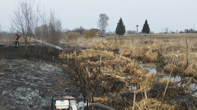 За добу на Волині ліквідували 10 пожеж в екосистемах: горіло понад 5 гектарів За добу на Волині ліквідували 10 пожеж в екосистемах: горіло понад 5 гектарів