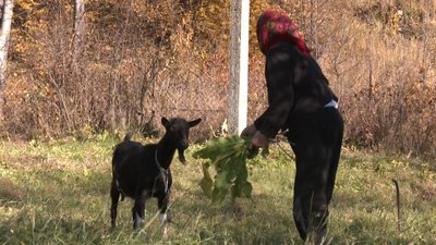 Село Корчунок на Франківщині: 15 років самотності