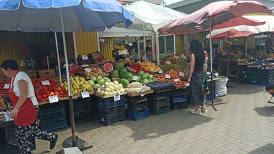 До 110 гривень за кілограм – дині на ринках Житомира в цьому році коштують вдвічі дорожче, ніж торік До 110 гривень за кілограм – дині на ринках Житомира в цьому році коштують вдвічі дорожче, ніж торік